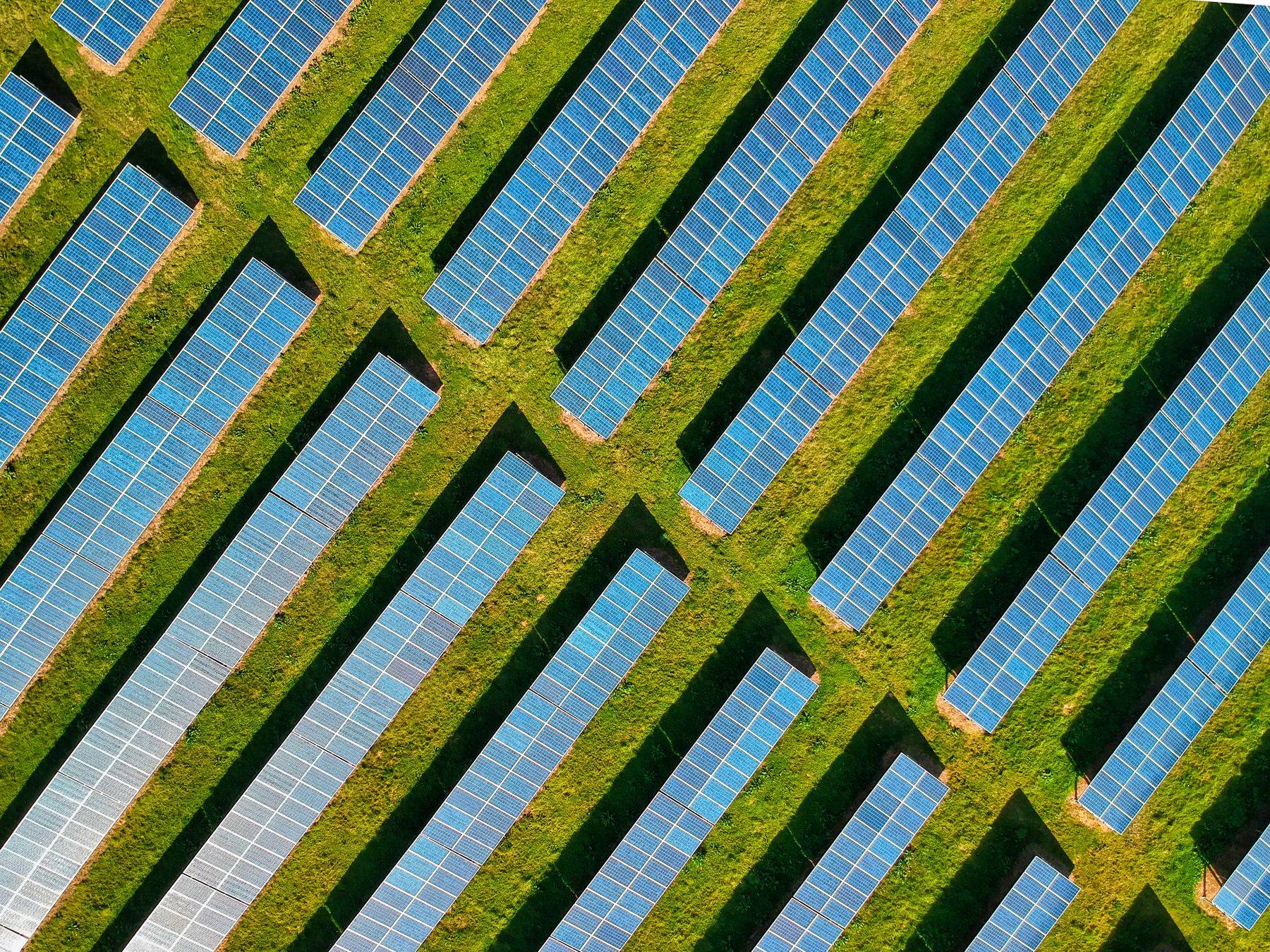 Aerial view of solar panels arranged in parallel across green fields