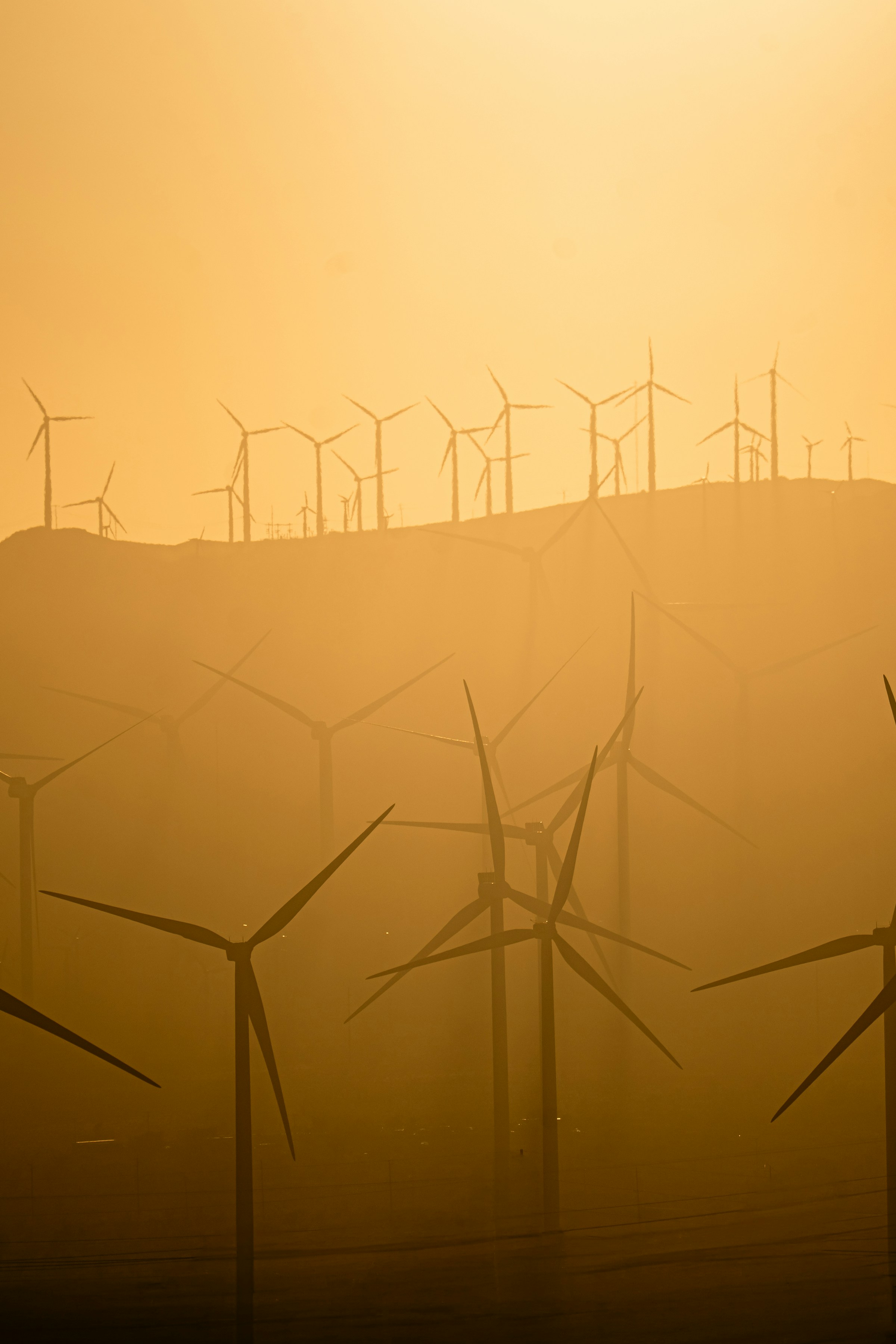 Wind turbines layered across a golden, sunlit landscape